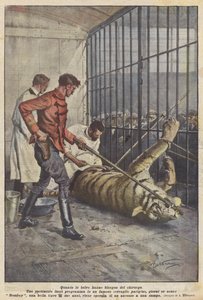 獣が外科医を必要とするとき 作： Achille Beltrame